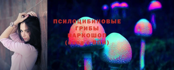 молекула духа Няндома
