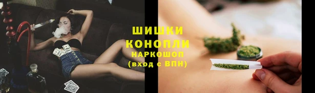 гидра Нязепетровск