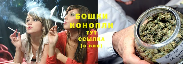 гидра Нязепетровск
