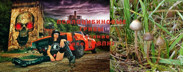 молекула духа Няндома