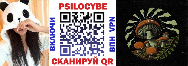 купить наркоту  Кадников  Галлюциногенные грибы MAGIC MUSHROOMS 
